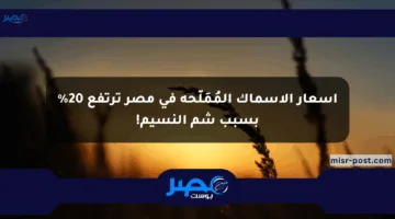 أسعار الأسماك المُمَلّحة في مصر ترتفع 20% بسبب شم النسيم!